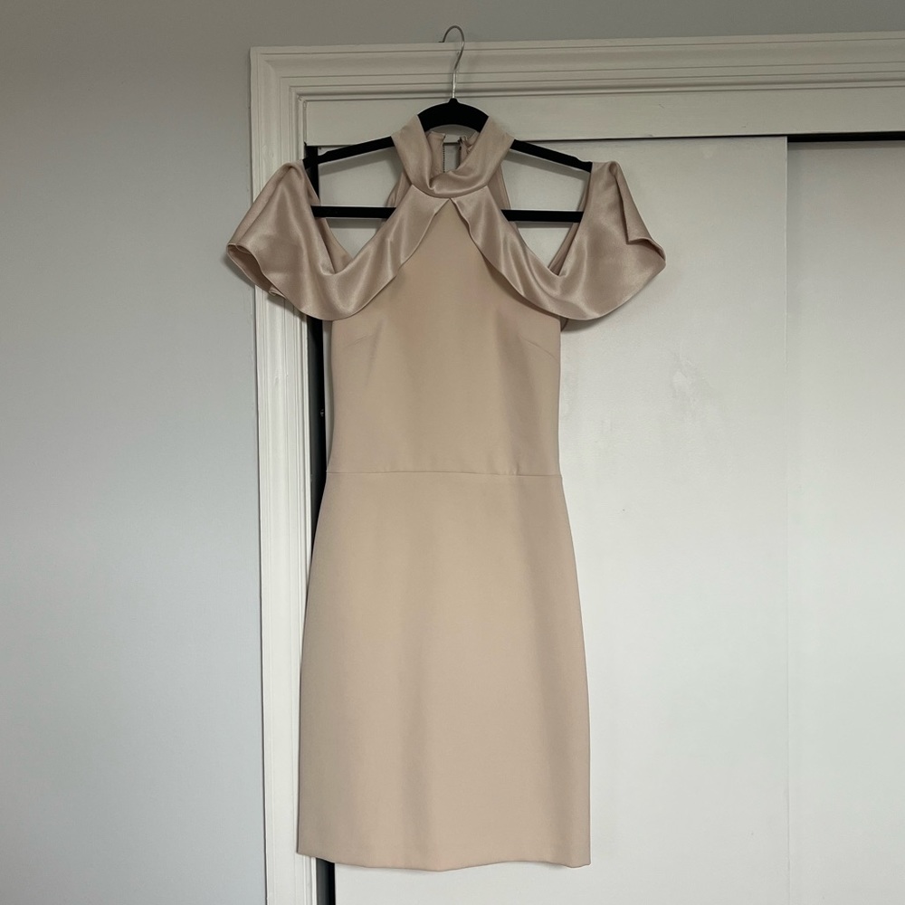 Alice and Olivia dress